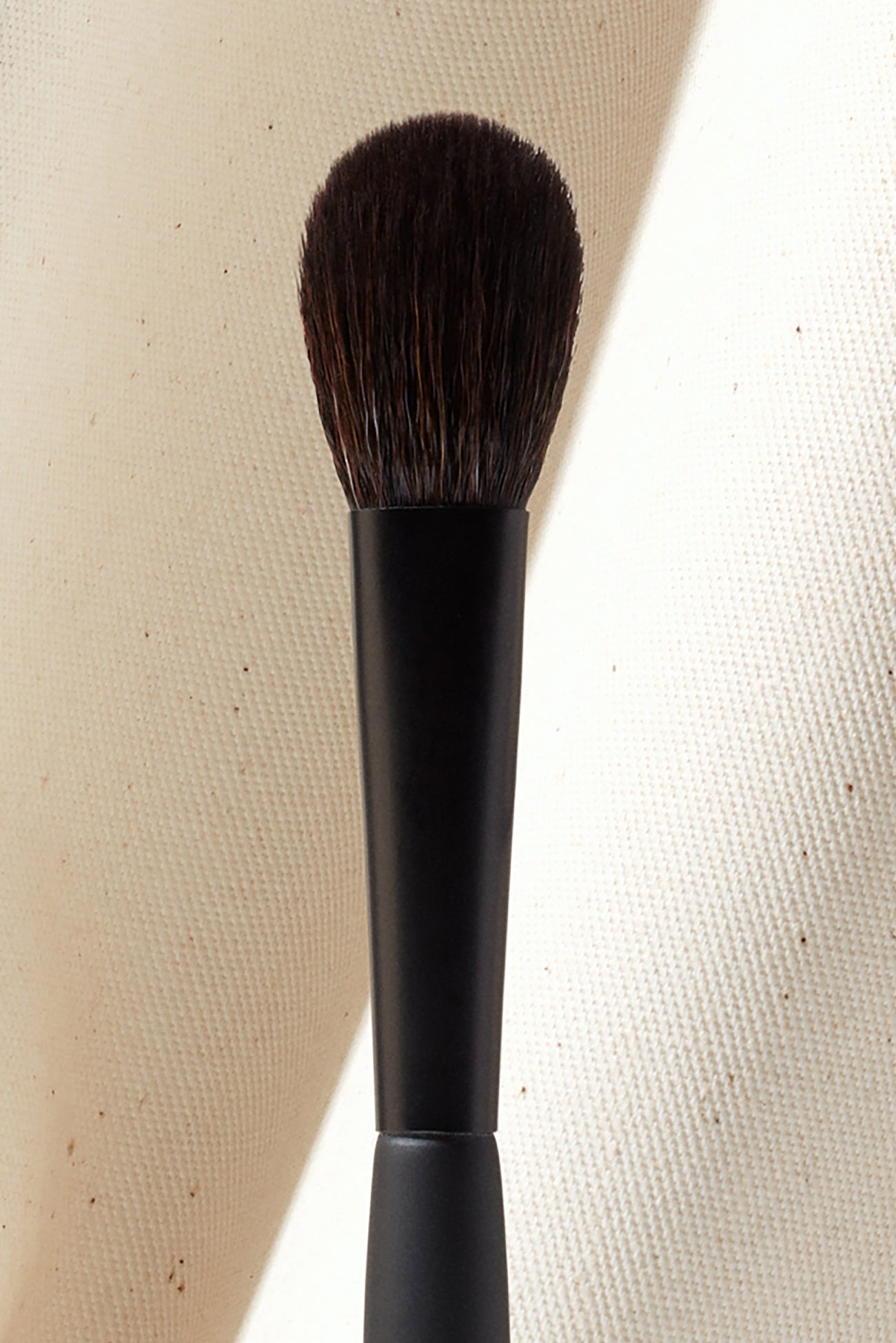 Powder Brush